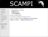 snapshot of example for SCAMPI-msa